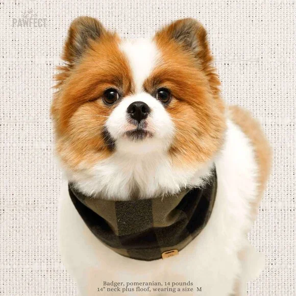 XS Flannel Dog Bandana Infinity Scarf for small dogs - Picture 4 of 13